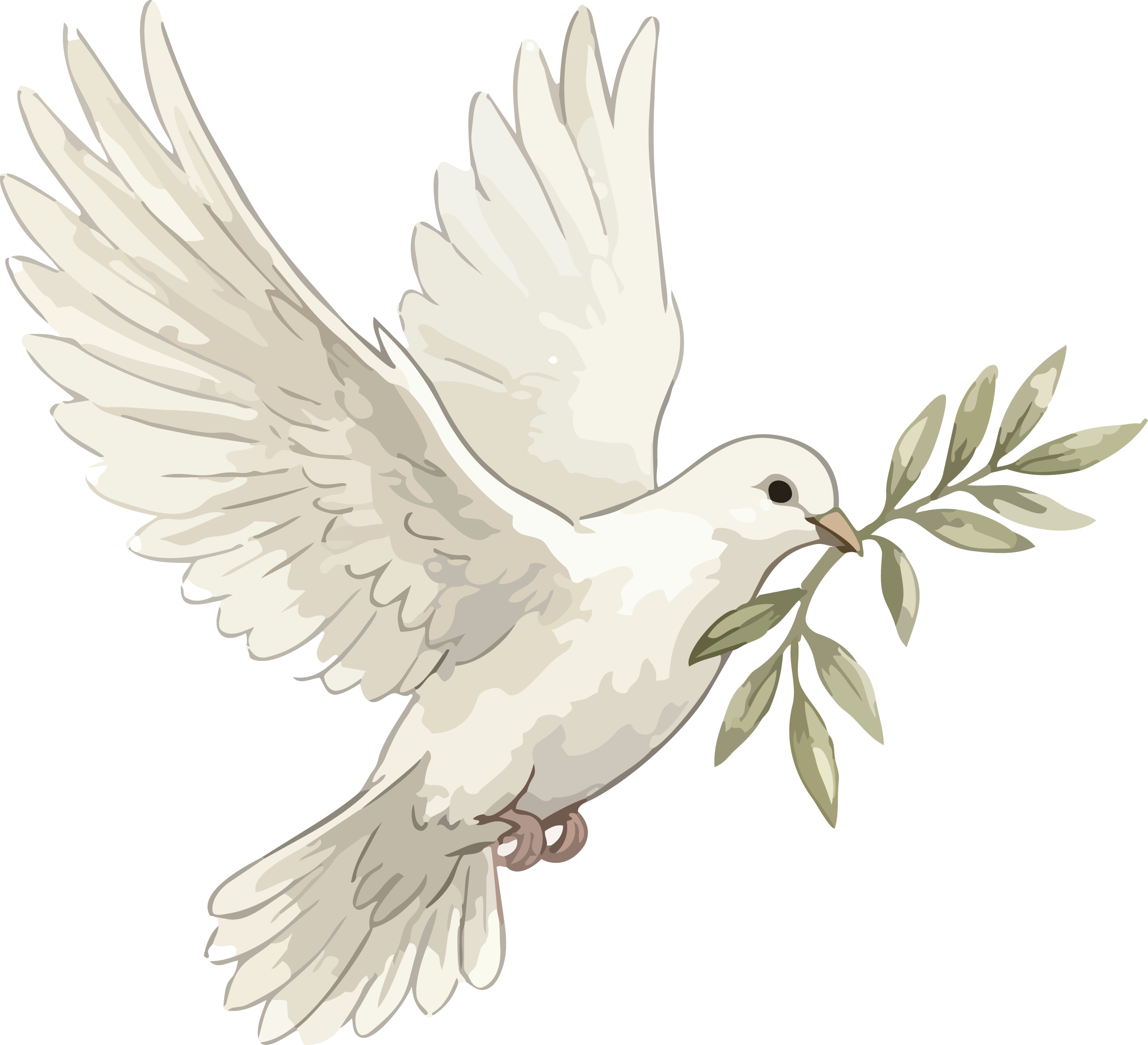 Dove with olive branch