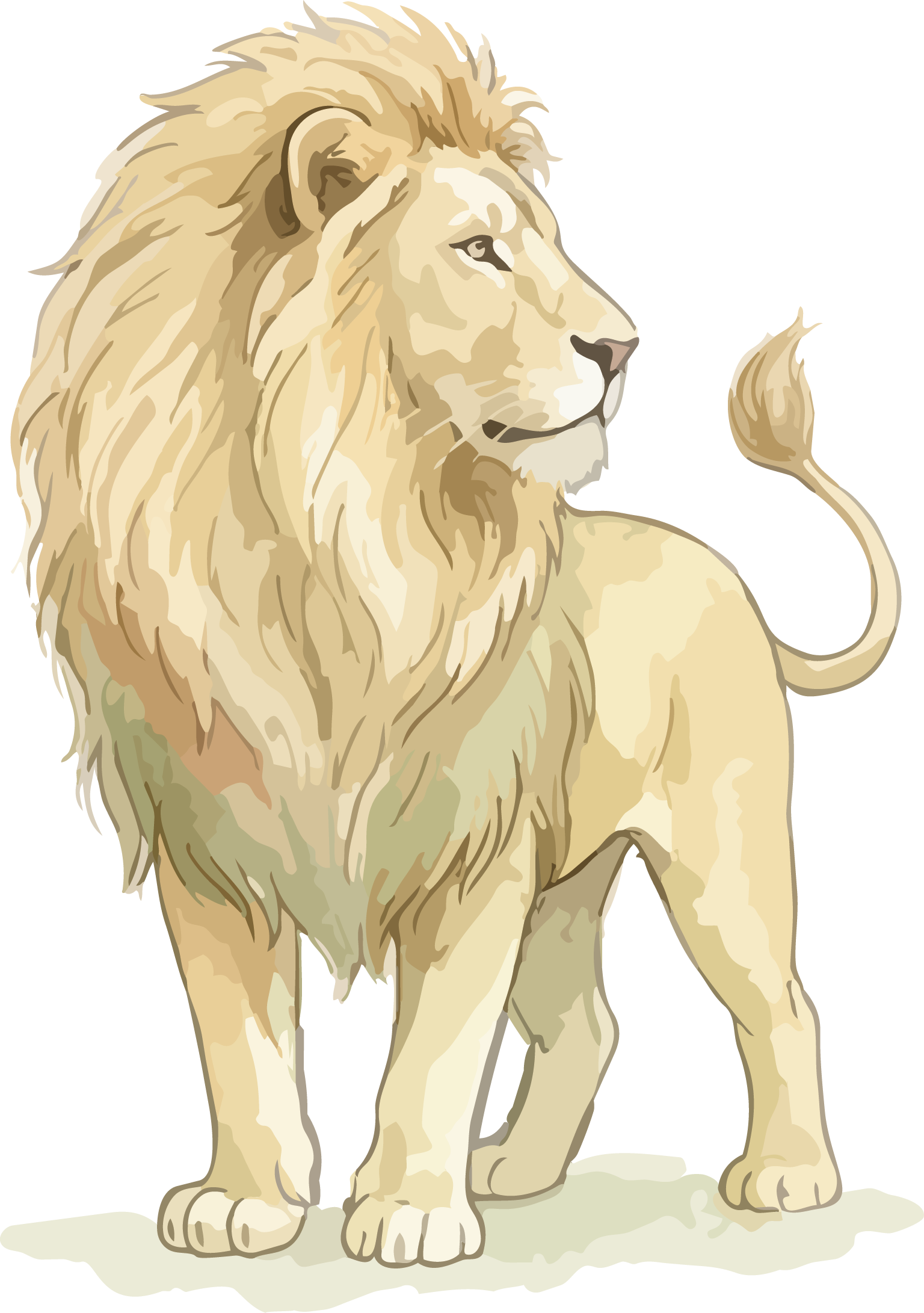 Lion of Judah